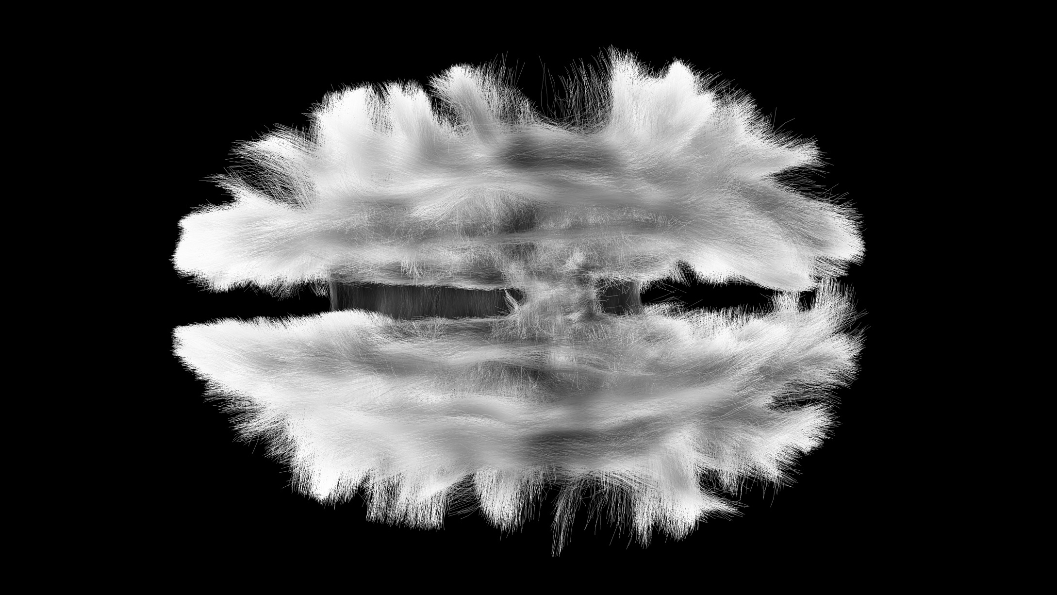 Image promo Méandres - cerveau